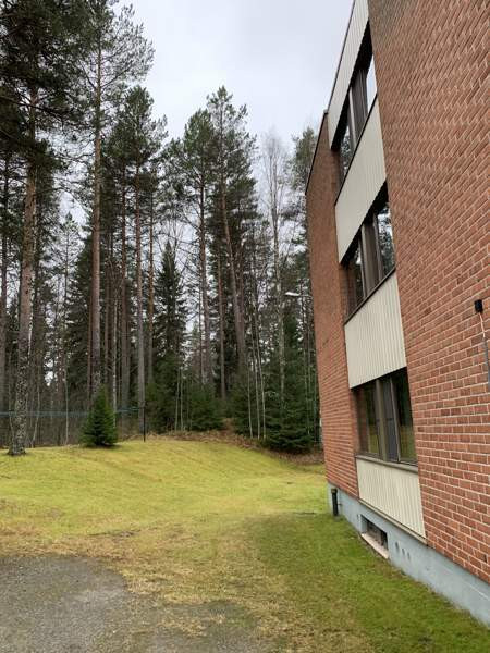 1h + avok  Kitee - изображение 8