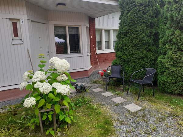 3h+ k + s  Zaporiz'ka Oblast' - valokuva 1