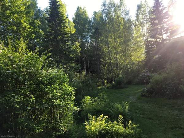 2h+k  Hämeenlinna - valokuva 7