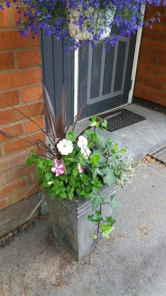 4h + k  Сейняйоки - изображение 1