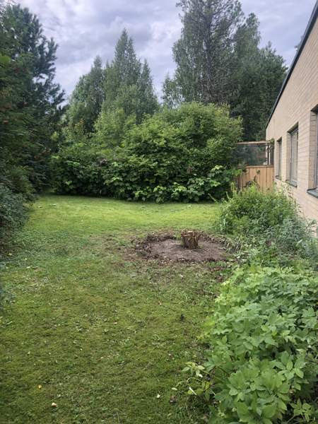 4h + k  Parkano - valokuva 4