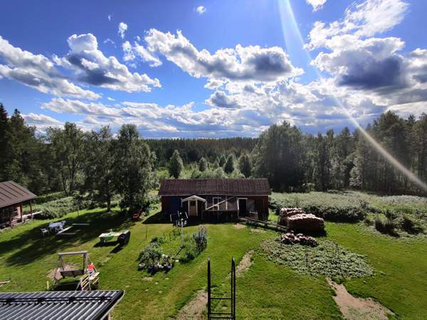 4h + k  Posio - valokuva 6