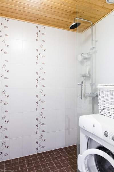 3h + s + p  Kemin - photo 4