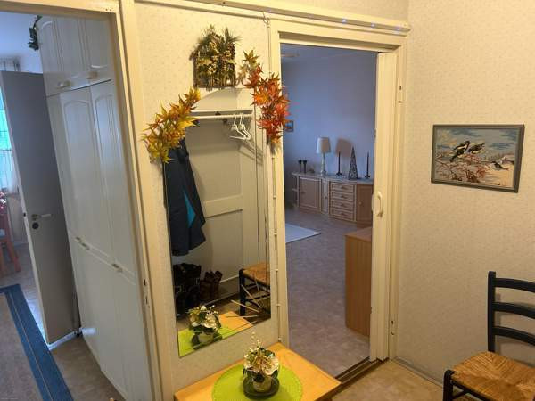 1h + k  Lievestuore - photo 4