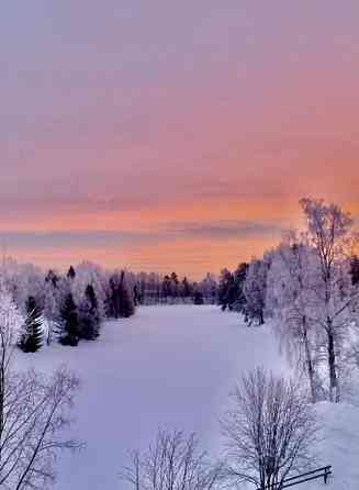 3h + k + s + p  Nurmes