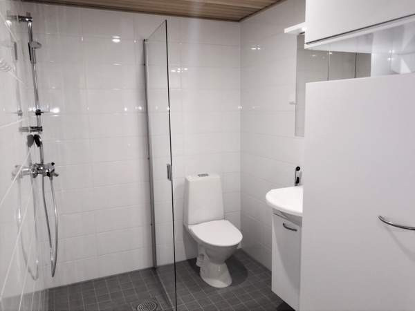 2h + p  Jyvaeskylae – foto 6