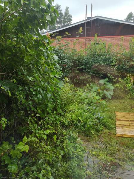 2h + avok  Joensuu - valokuva 8