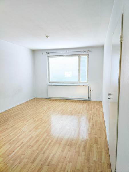 4h + k + s + p  Jaemsae - photo 6