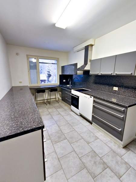 4h + k + s + p  Jaemsae - photo 3