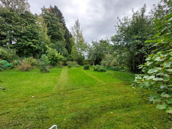 5h + k + s + p  Joroinen - valokuva 5