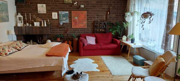 5h + k + s + p  Joroinen - valokuva 4