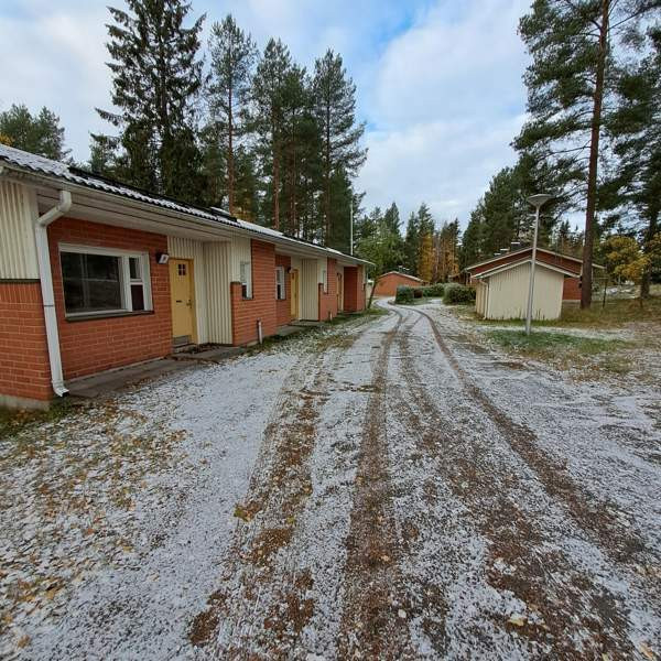 19h + s  Butterworth - photo 2