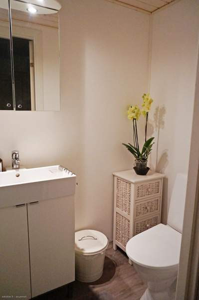 2h + s, wc, psh, vh  Hollola – foto 6