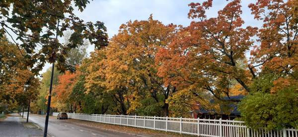 2h + k  Hyvinkää - valokuva 6