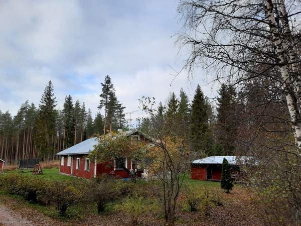 4h + avok + s  As Salamiyah - valokuva 1