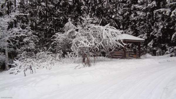 10h + 3 k+wc/sh  Kuhmoinen - изображение 4