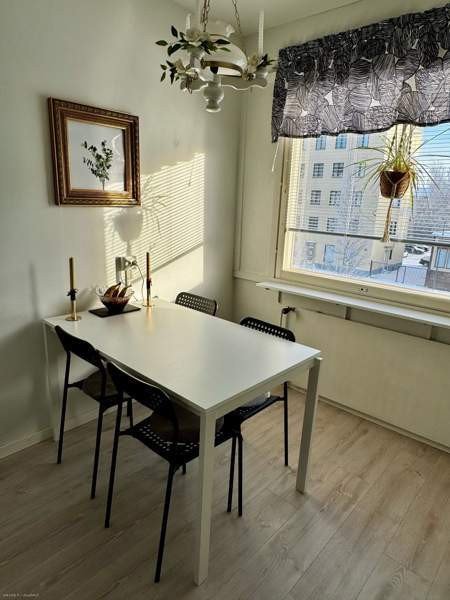 2h+k+kph+parv  Kemin - valokuva 4