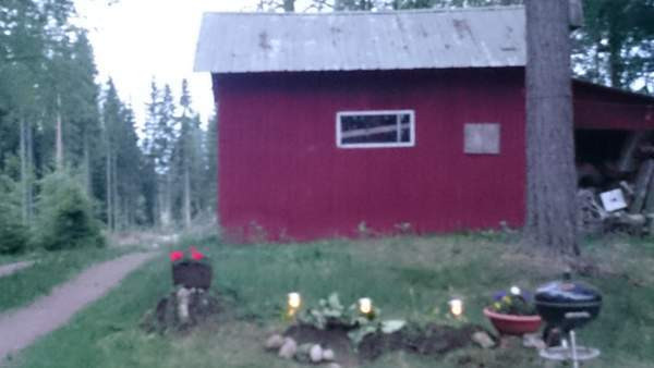 3h + k  Tammela – foto 3