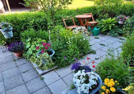 3h + k + s + p  Asikkala