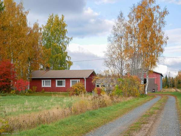 5h + k + s  Syevyerodonets'k – foto 3