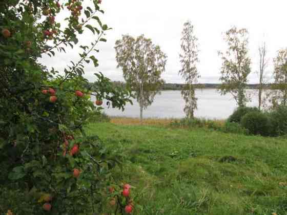 Olohuone, keittiö, 4 makuuhuonetta, kodinhoito huo  Haapavesi