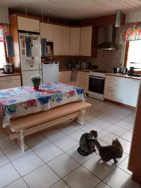 6h+k+kph+2wc+s  Juuka - photo 2