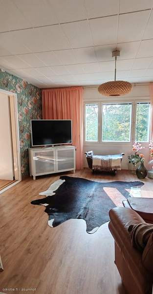 4h + k + s  Kaarina - photo 5