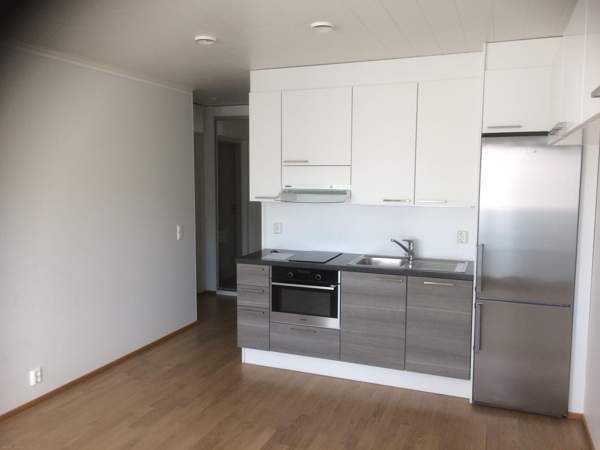 1h + avok  Joensuu – foto 2