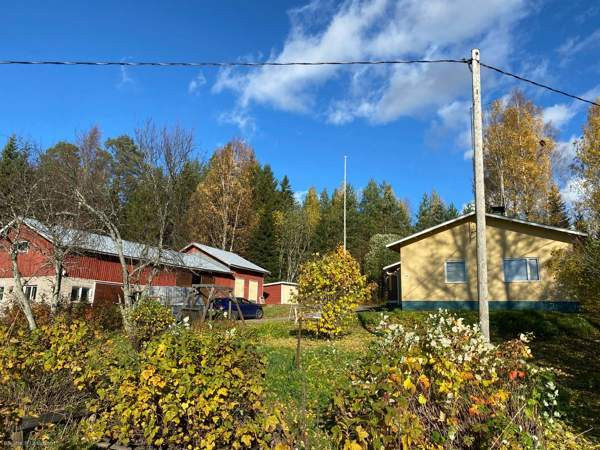 4h + k + s  Juuka – foto 5