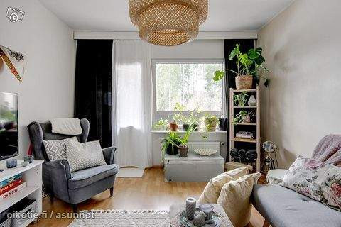 2h + k + p  Хамина - изображение 5