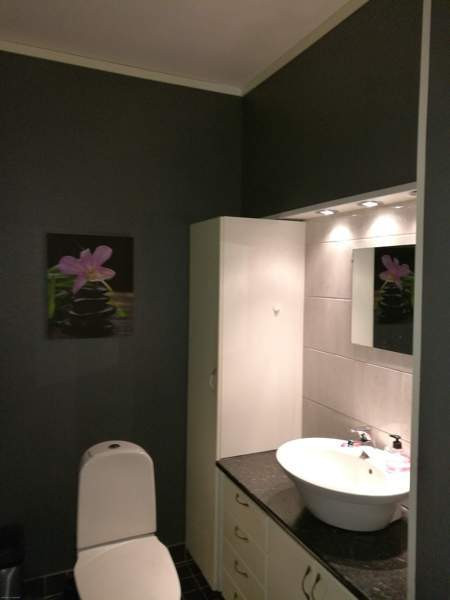 4h + k + s  Äänekoski - изображение 8