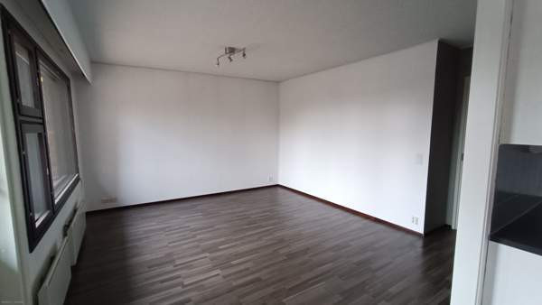 3h + k + s + p  Saarijärvi - photo 6