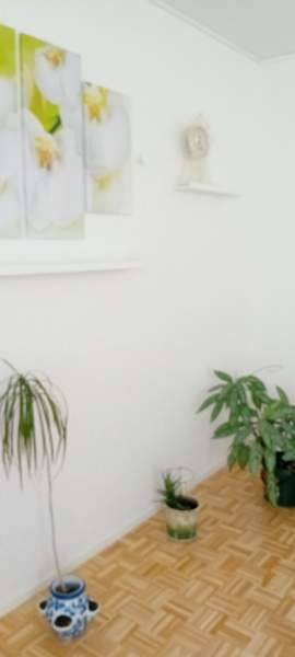 2h  Tuusniemi – foto 1