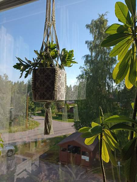 2h + k + p  Иматра - изображение 7