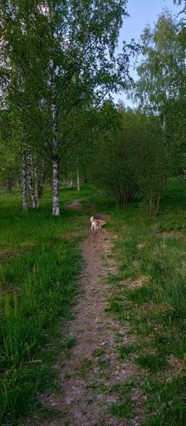 2h + k + p  Иматра - изображение 6