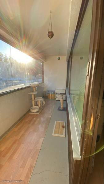 3h + k + p  Lapinlahti - изображение 3