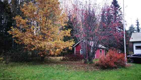 4h + avok + s + p  Куопио