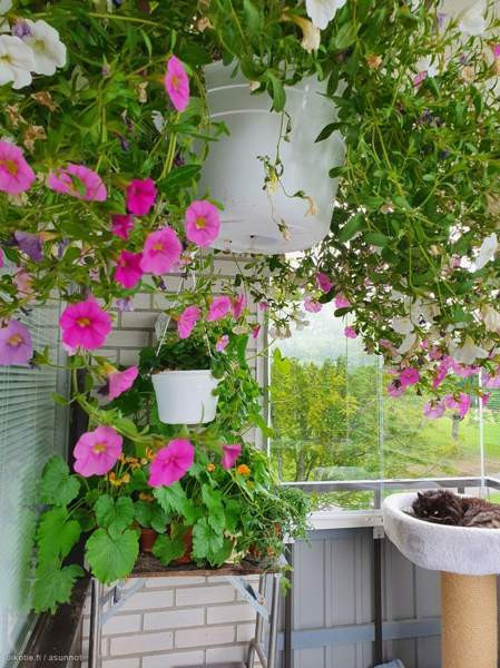 3h+k  Outokumpu – foto 4