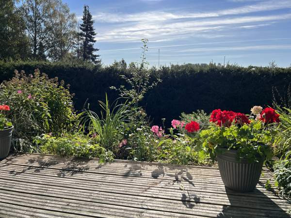 2h + kk + kph  Лохья - изображение 7