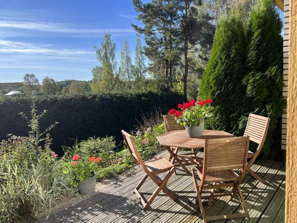 2h + kk + kph  Лохья - изображение 3