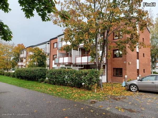 2h + k + s + p  Вааса - изображение 1