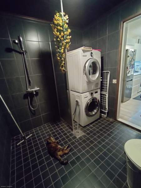 3h + k +oh + ph  Pyhäjärvi - photo 5