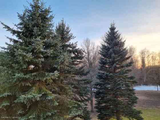 4h + k  Haemeenlinna