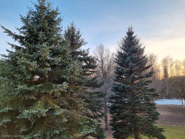 4h + k  Hämeenlinna - valokuva 1