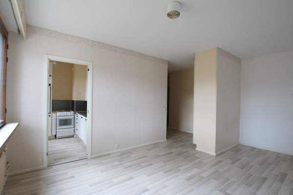 1h + kk  Запорожская область - изображение 3