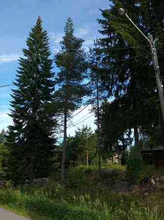 4h + k + s  Chukotskiy Avtonomnyy Okrug