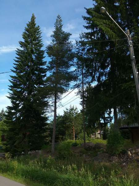 4h + k + s  Chukotskiy Avtonomnyy Okrug - valokuva 1