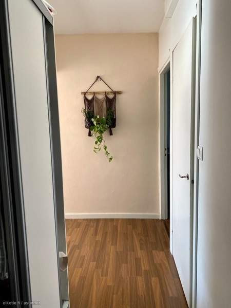 2h + k + p  Keuruu - valokuva 4