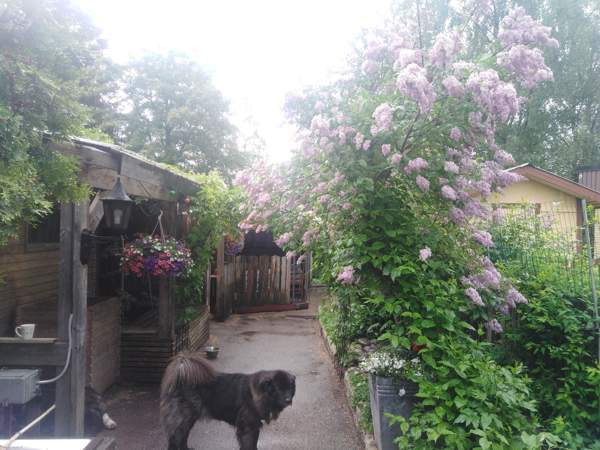 7h + k  Mikkeli – foto 3