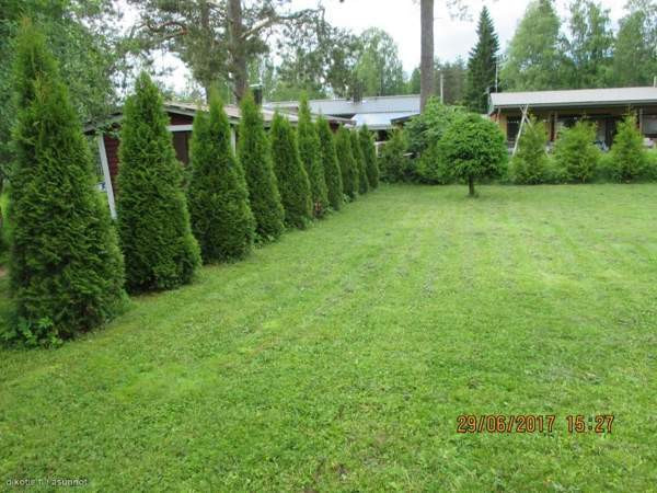 4h + k + s + 2 vaateh.+ ulkovarasto + autotalli  Pieksämäki – foto 3